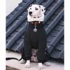 Waterproof Dog Clothes Winter Large Dogs Clothing Accessories Dogs Overalls with Hat Adjustable Warm Dog Coat Product Supplies