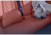 BAIC ARCFOX Alpha S5 Headrest & Lumbar Support: 26 New Models for Enhanced Neck & Lumbar Protection Car Accessories.