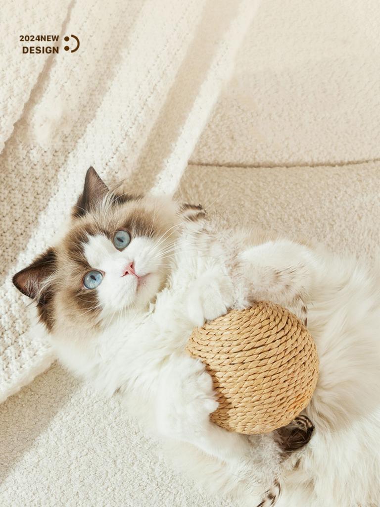 Interactive Sisal Scratch Ball for Cats, 8-10 Cm, for Cleaning Kittens Teeth, Anti-bite, Sound Toy, Pet Supplies