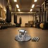 Speed Bag Swivel Ball Bearing Punching Mount Metal for Pugilists, Training