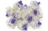 FILCO CHERRY MX2A RGB FILCO Clear Housing 5-Pin Switches, Purple, 70-Pack, Packaging, (for RGB), FKSW70CH/MPU-R