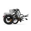Cysum AG1 Pro 48V20AH Akku Elektrofahrrad Vorne 20*2.1+Hinten 16*3.0" Reifen Elektrofahrrad Erwachsener Elektroroller 750W Motor Elektrisches Lastendreirad