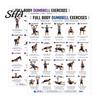 Plan de antrenament la sală pentru bărbați, Poster cu diagramă pentru 2 gantere, Exerciții pentru tot corpul, Antrenament de forță, Artă murală, Ghid de fitness, Referință pentru acasă