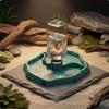 Turtle Food and Water Dish 2in1 Design Automatic Reptile Waterer Easy To Clean