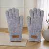 Knitted Gloves Wool Ladies Winter Thickened and Fleece Morandi Candy Color Maillard Gloves