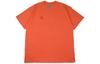 ACG T Shirts Men's Crew Neck Moderate Straight Fit BQ7343-842