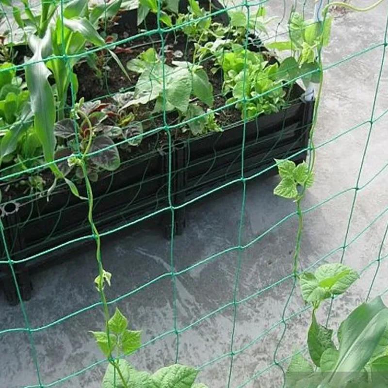 1pc Horticultural Grid Net Garden Anti Wind and Anti Lodging Vines Cucumber Morning Glory Flower Grape Plant Climbing Net