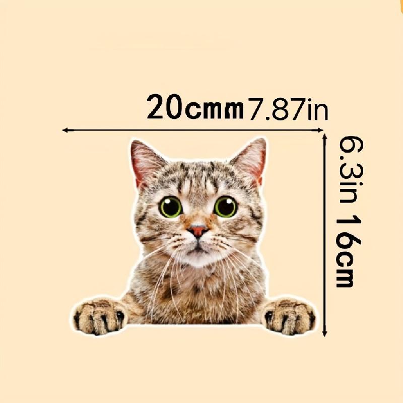 Zmatené kotě Samolepky na auto pro okno auta Zadní sklo Víčko palivové nádrže Dekorace zadního nárazníku Krytí škrábanců Vinylové nálepky