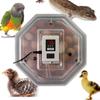 Kruger Meier Prolexor 60 Egg Incubator with Automatic Thermostat