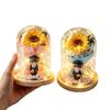 Graduation Season Gifts, Graduation Season Gifts for Children, Classmates and Friends, Suitable for Sunflower Bouquets, Eternal Flowers, Night Light