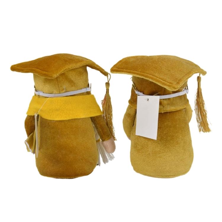 Graduation Season Gnome Doctorial Hat School Office Birthday Holiday Party