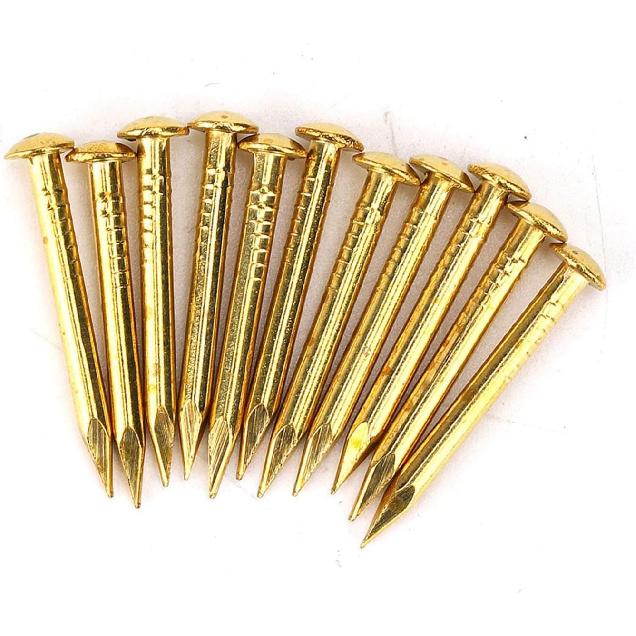 Brass Nails, 100 Pieces Round Head Gold Nails, Brass Wall Pins 10mm 15mm 18mm 22mm, Furniture Brass Tacks for Wood, for Hanging Picture Frame Mirror,