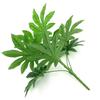 Yousheng Home Decor 9 Leaves/1Pc Artificial Green Plant