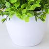 Beautiful Fake Plant Energetic No Withering Plastic Artificial Potted Plants Bonsai