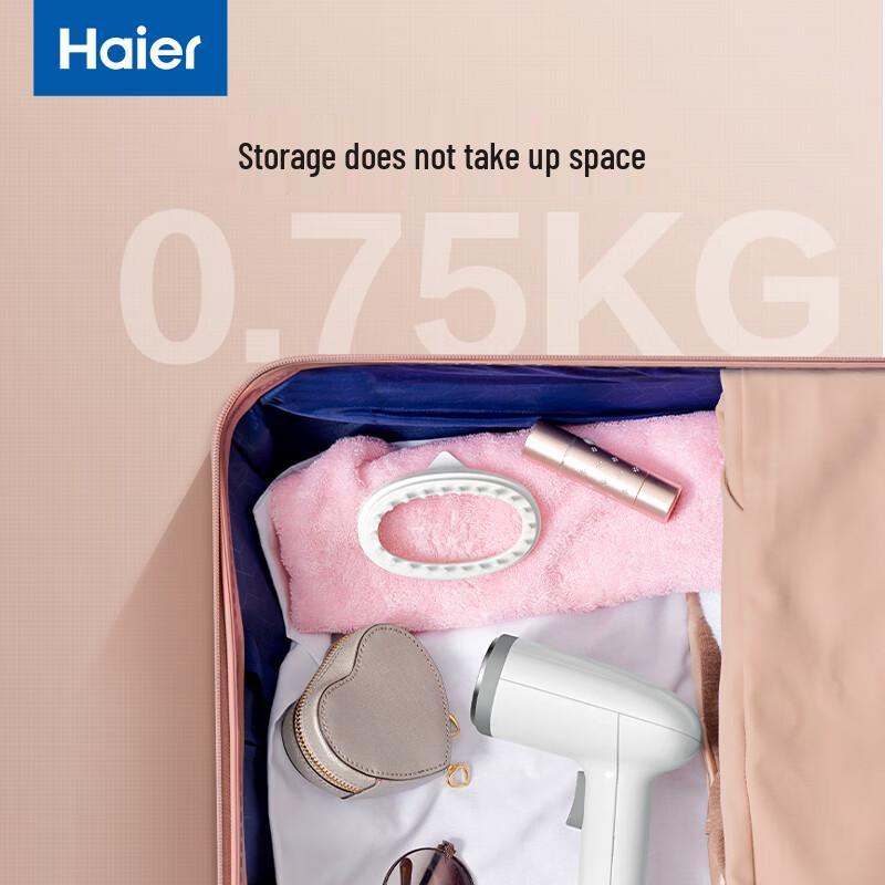 Haier HY-GW2502W Portable Handheld Garment Steamer