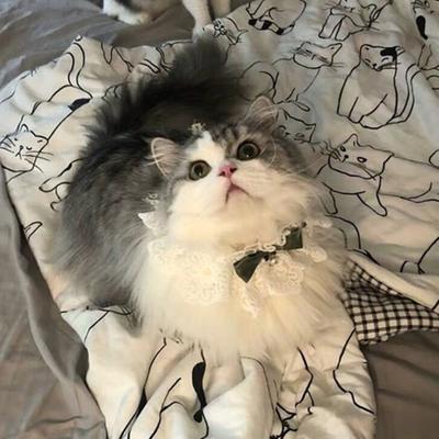 Pet Neckerchief Attractive Charming Cute Cats Dogs Bowknot Neckerchief with Bell for Daily Wear
