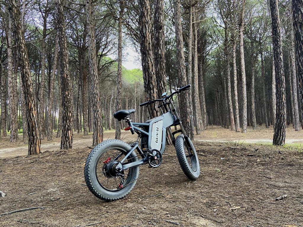 GUNAI MX25 Electric Bike 1000W Motor, 25AH Battery, 60KM Range, 50km/h Speed, 20*4.0 Inch Fat Tires, Hydraulic Oil Brake E-Bike