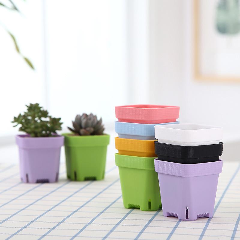 Thickened Black Square Succulent Pot - Breathable Plastic Planter for Seedlings and Lithops