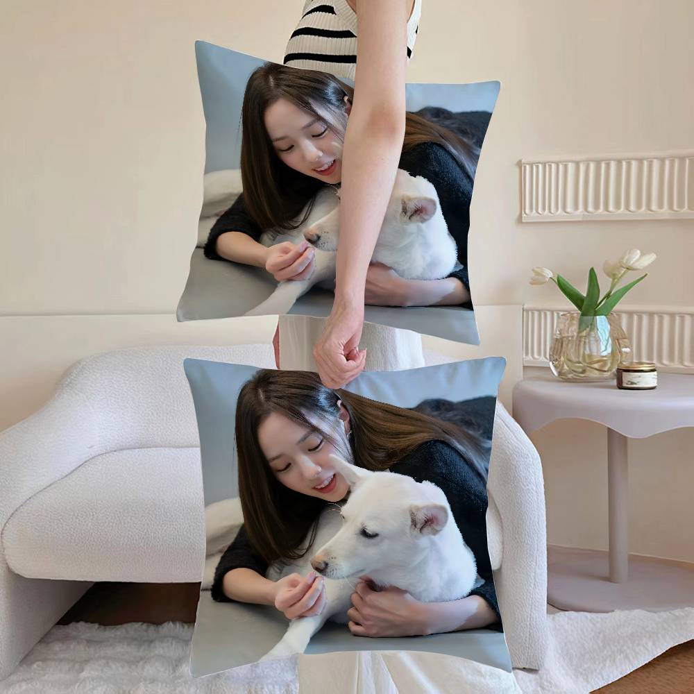 Chae S-Soo-bin Pillow Case Sofa and Living Room Decorative Cushion Covers Dust-proof and Mite-proof Invisible Zipper