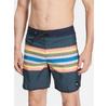 Шорты Для Плавания Quiksilver Everyday