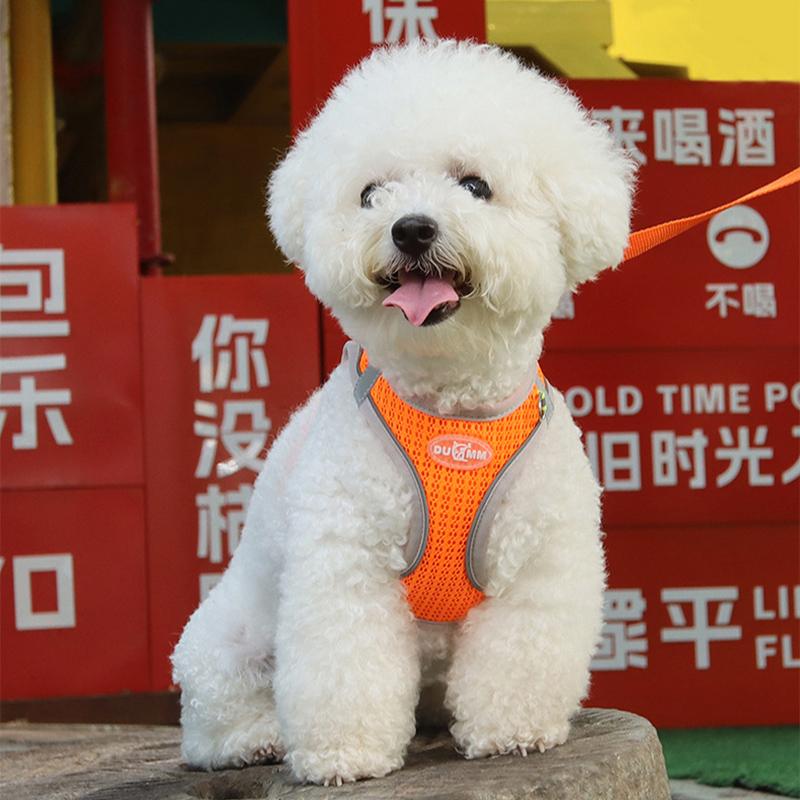 Hundegeschirr-Leine-Set für kleine Hunde, verstellbares Welpen-Katzengeschirr, Weste, französische Bulldogge, Chihuahua, Mops, Outdoor-Walking-Leine