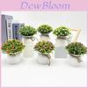 Gypsophila Paniculata L Artificial Potted Plant For Wedding Decor And Photography Props