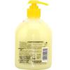 Liùshén Calendula Antibacterial Hand Wash