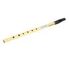 6 Holes Irish Tin Whistle Clear Sound Wind Musical Accurate Tuning Whistle Flute for Beginners C Tune