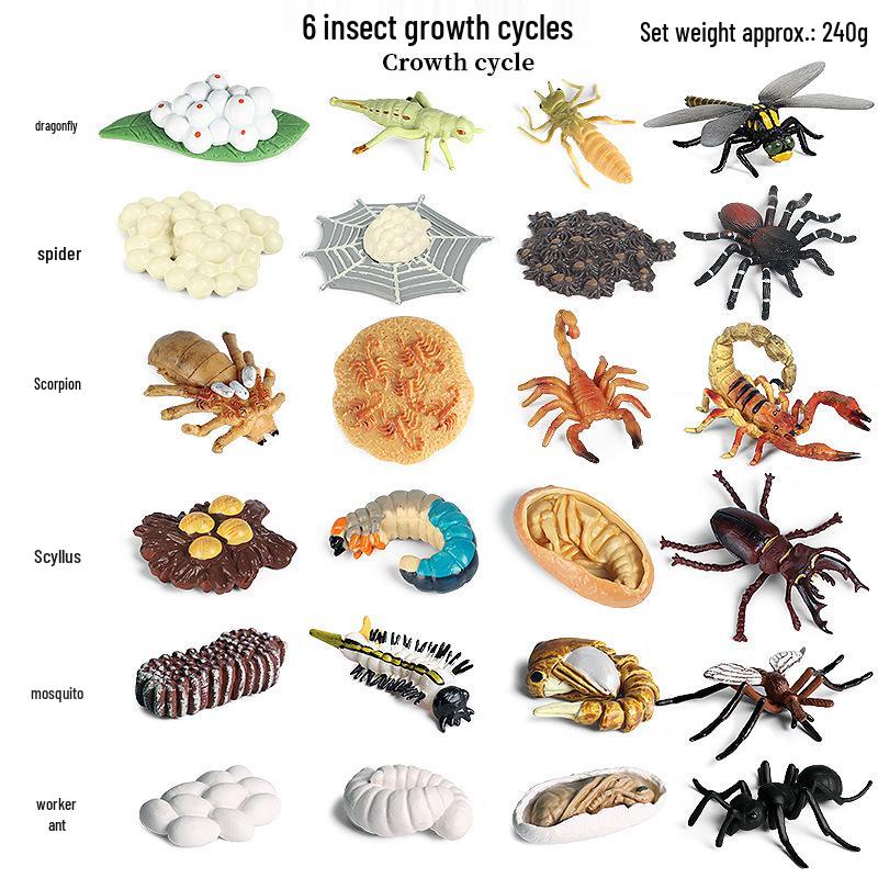 Children's Animal Simulation Toy Set: Eagle, Falcon, Secretary Bird, Owl Figurines