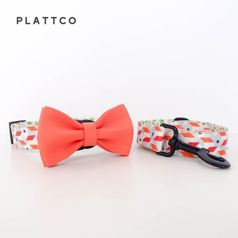 PLATTCO Imitation Nylon Dog Leash & Collar Set (PDC330) with Unique Design. Small