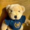 [USED] Teddy Bear Plush Toy