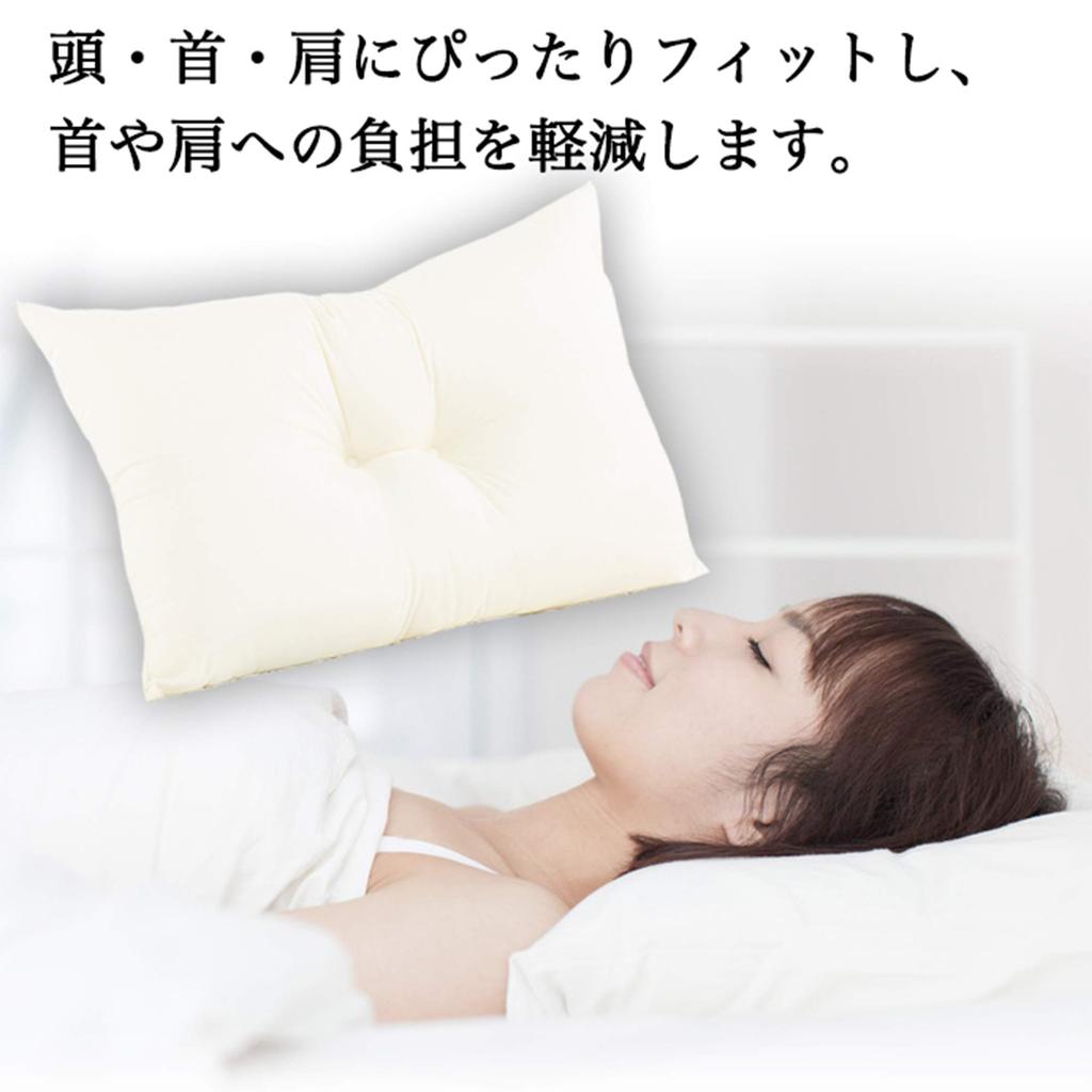 EIYU Pillow, 43x63cm, Low, Washable, NANO Platinum, Ivory, with Gray Pillowcase, Shipped Uncompressed