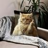 1pc Majestic and Handsome Burmese Cat Design Pillowcase, Soft and Comfortable Polyester Short Plush Fabric, Single-Sided Print, Pillow Insert Not Incl