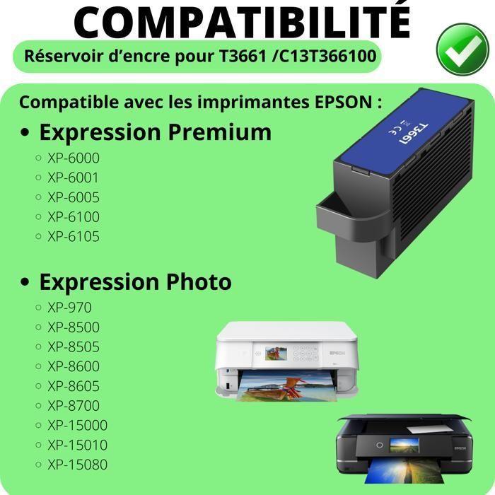 Maintenance Cartridges - Epson - T3661 - Pack of 2 - Compatible with XP-6000/XP-8500 - Black
