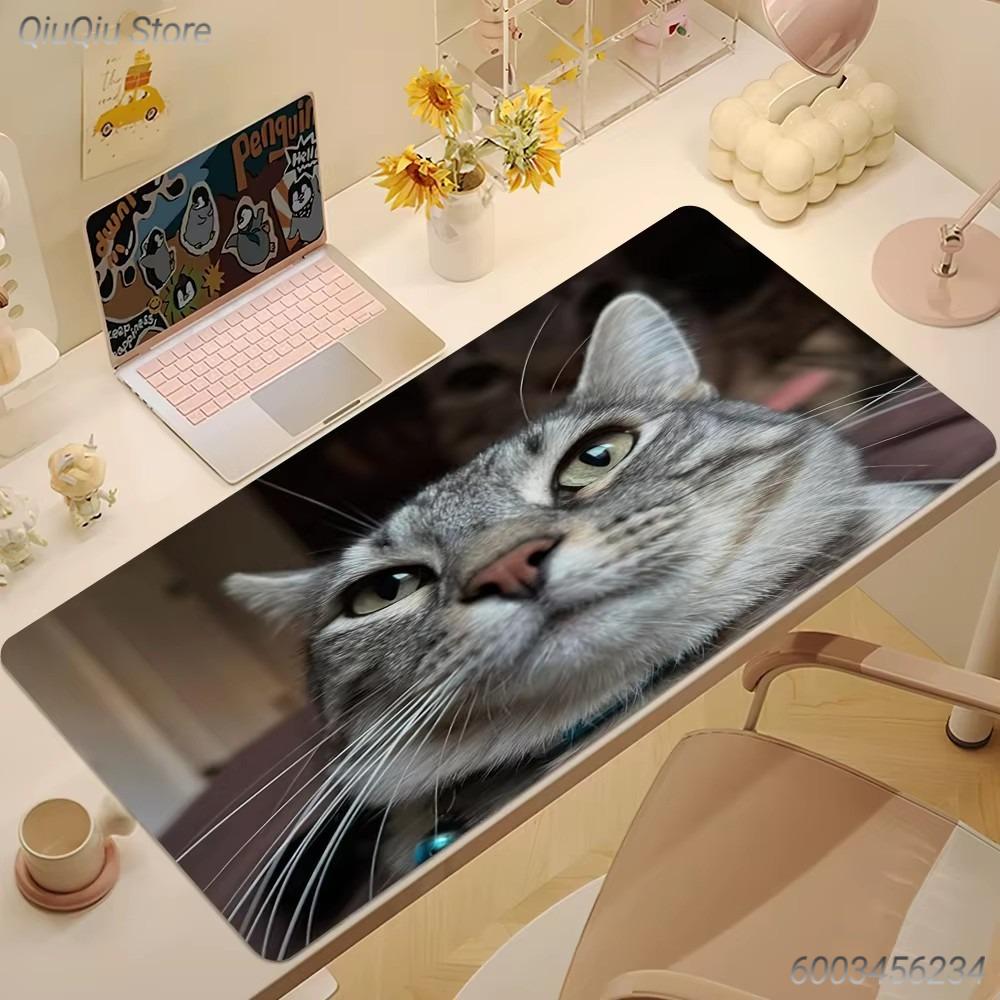 Funny Rock Meme Cat Mouse Pad Black Large Desk Mat for Gamers Cat Lovers