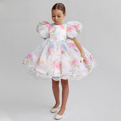 2024 New European & American Girls' Puff Sleeve Floral Mesh Tulle Princess Dress