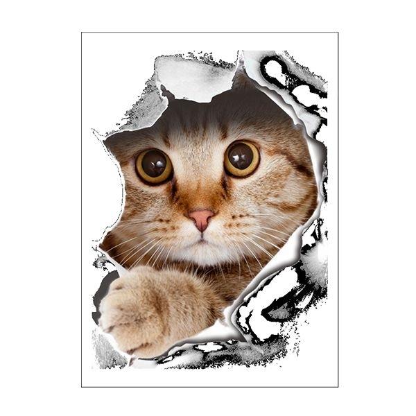 Cat Through the Wall Decal