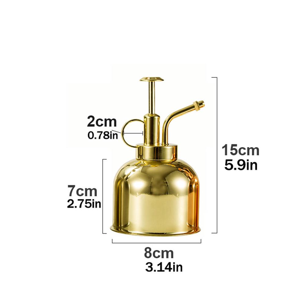 

Латунная лейка в скандинавском стиле, винтажные канистры для воды, суккулентные растения, золотая садовая бутылка-распылитель, лейка, садовый инструмент