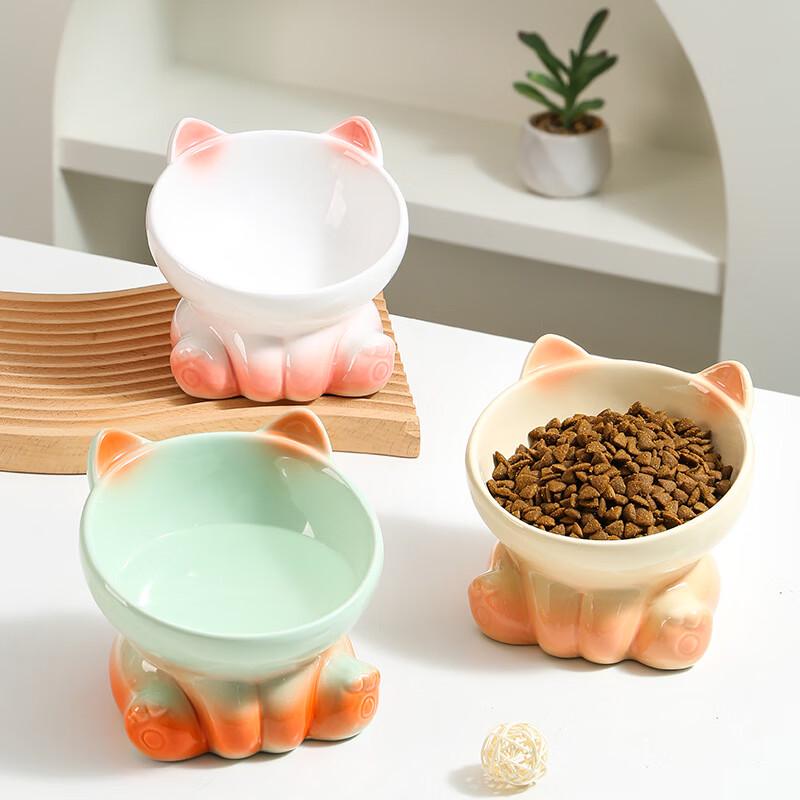 Ergonomic Gradient Ceramic Elevated Pet Bowl