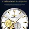 OUPINKE Hodinky Automatické mechanické hodinky Steel Business Vodotěsné pánské hodinky Pánské hodinky