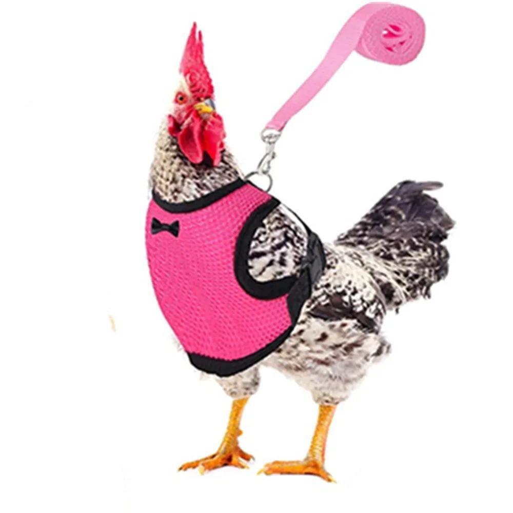 1 Pcs Fashion Chicken Duck Vest Hen Belt Pet Harness Matching Collars Bow Comfortable Leads Breathable Poultry Supplies