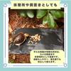 Ideastore Turtle Drying Land Lava Turtle Heat Moisture Lava X Board, Bedding, Plate, Reptile, Tortoise, Bedding, Retention, Retention, (Square (30cm