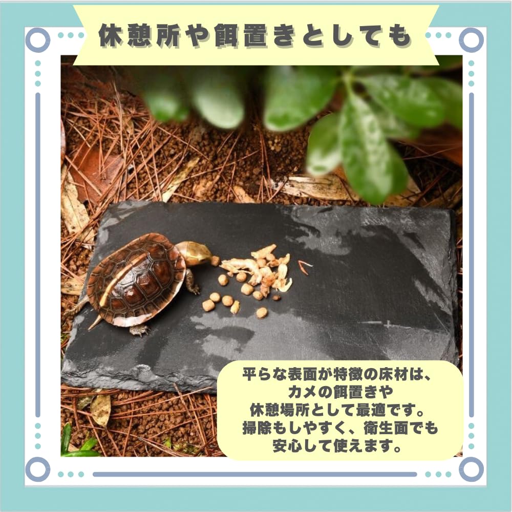 Ideastore Turtle Drying Land Lava Turtle Heat Moisture Lava X Board, Bedding, Plate, Reptile, Tortoise, Bedding, Retention, Retention, (Square (30cm