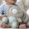 Ingenuity Sylvie the Rabbit Heartbeat Plush Toy with Soothing Sounds (Ages 0+) (Product Code 12920)
