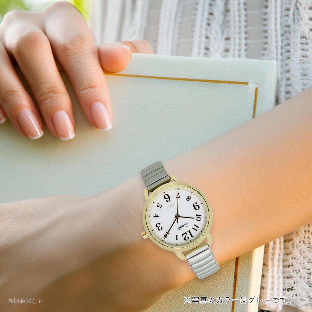 Fieldwork Analog Watch with Belt and Solar SO Sanija Women's Power, Gray, ASS177-1