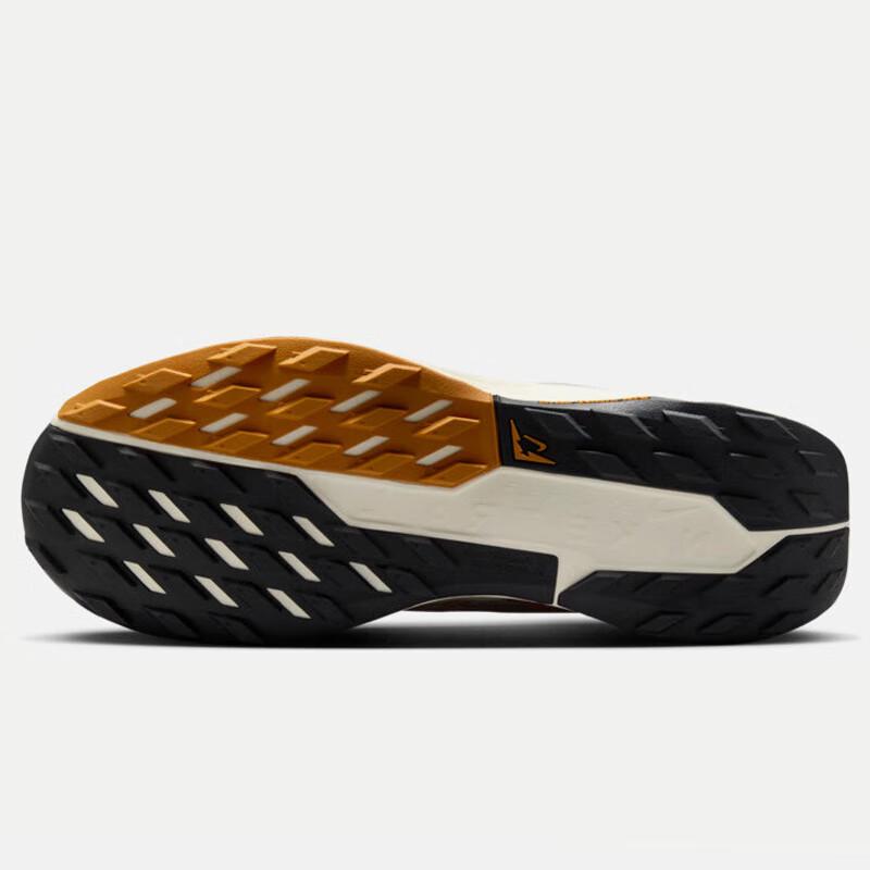 Nike Men's Pegasus GTX Winter Waterproof Running Shoes