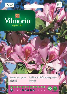 Semená Orchid Tree 6g -