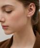 Tatiana (Silver 925) Twinkling Duo Hoop Earrings Ec3151