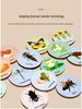 Wooden Educational Puzzle: Life Cycle Changes of Plants & Animals – Toddler Cognitive Growth Toy