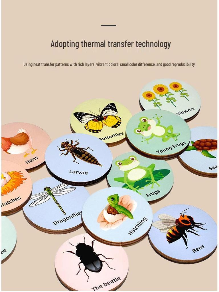 Wooden Educational Puzzle: Life Cycle Changes of Plants & Animals – Toddler Cognitive Growth Toy